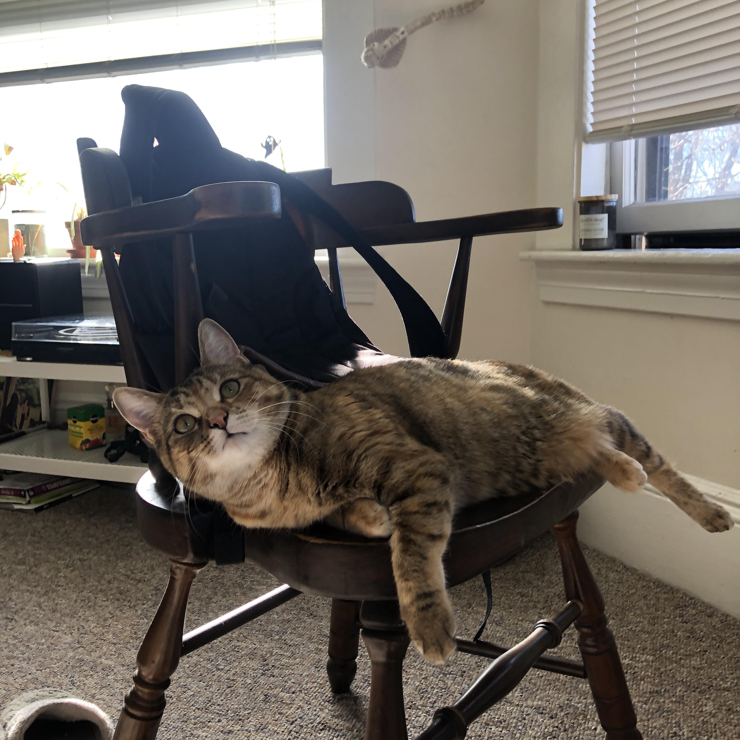 火箭升空约基奇坐镇指挥塔,勇士体系遭遇宇宙级压制