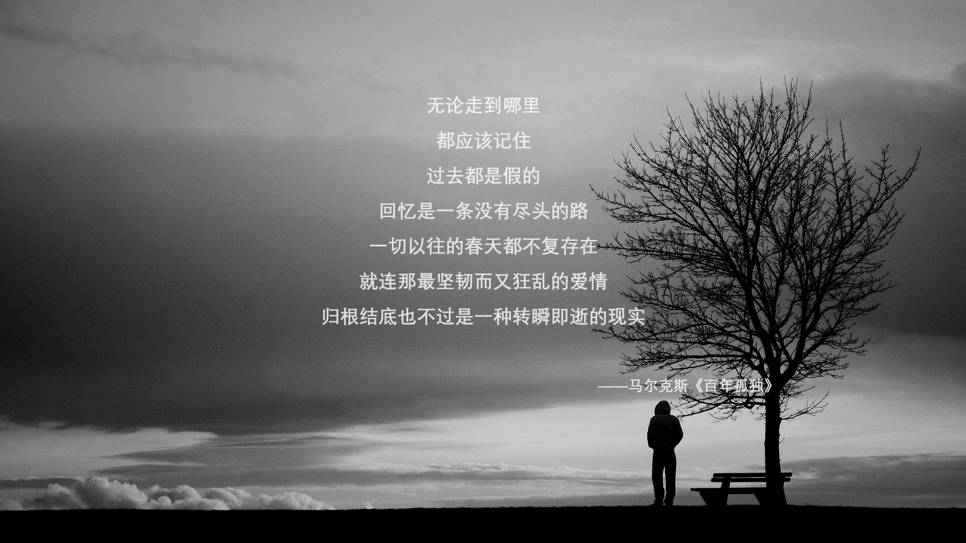 华体会-北欧风暴席卷亚平宁—2026世界杯B组关键战，芬兰完胜意大利，卢卡库领衔逆袭，快速反击成为制胜密码