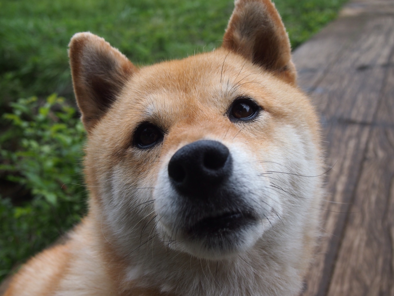 扩展